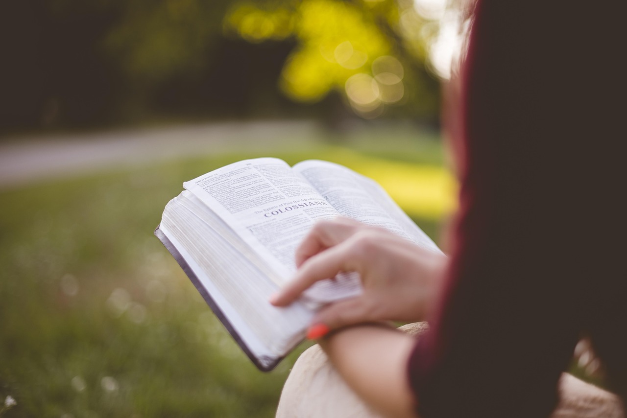 Close-up of a person sitting outdoors on grass, holding and reading an open book. Sunlight filters through trees in the background, creating a soft, blurred green backdrop while the reader’s hand rests on the page.
